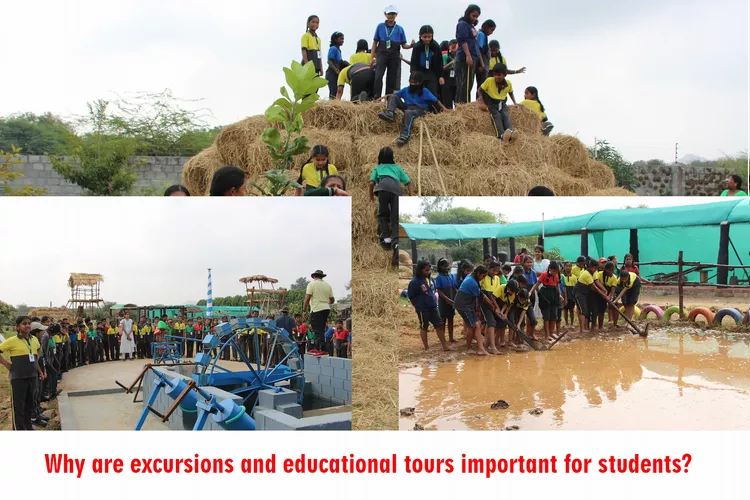Students are doing adventure activities on a educational tours