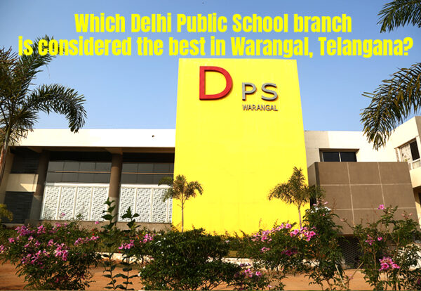 Which Delhi Public School branch is considered the best in Warangal, Telangana