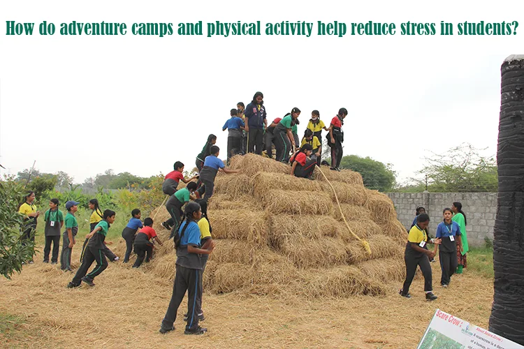 A group of people climbing a pyramid of hay in their adventure camps