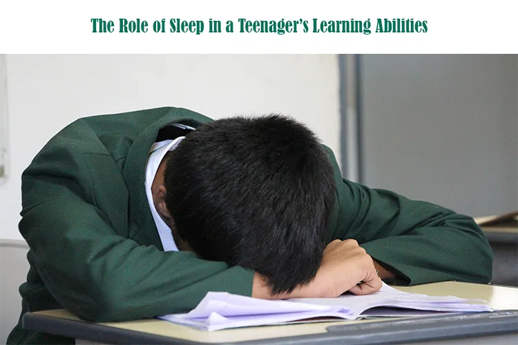 A person sleeping on his desk